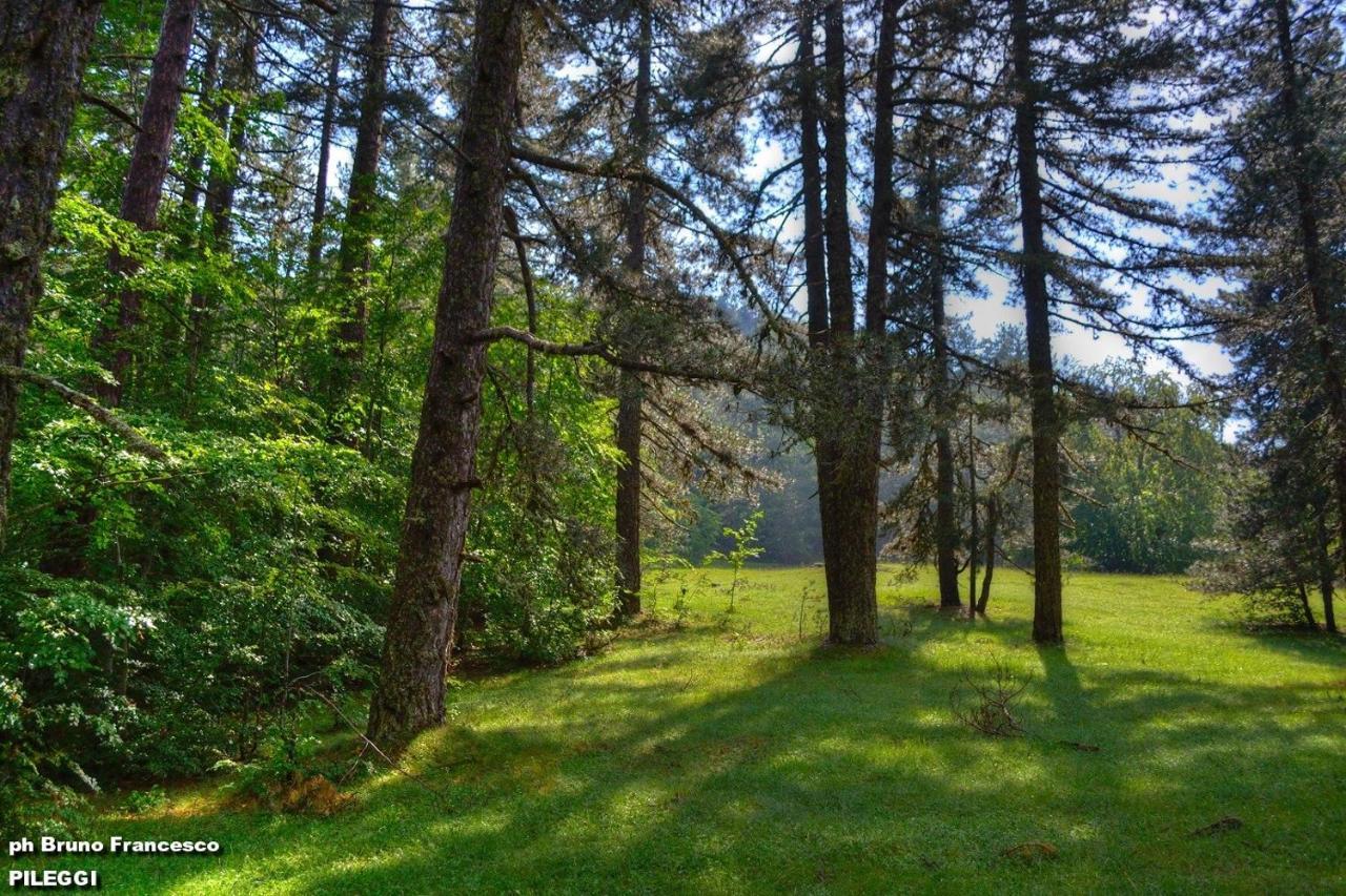Villa La Ficuzza Читадела дел Капо Екстериор снимка